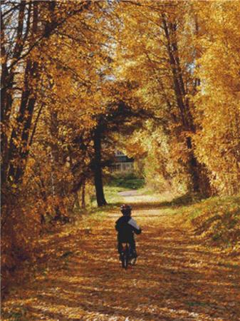 Boy in Autumn