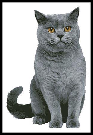 click here to view larger image of British Shorthair Cat (chart)