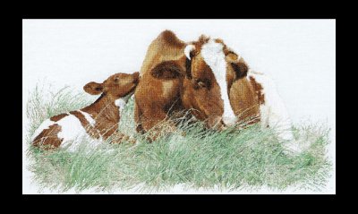 click here to view larger image of Red Cow - 32ct (counted cross stitch kit)