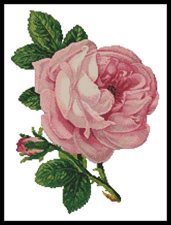click here to view larger image of Pink Rose and Bud (chart)