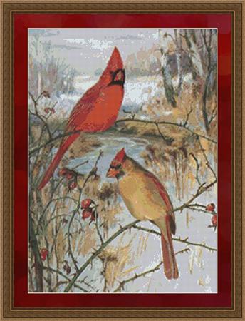 Cardinals Red Bird