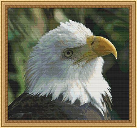 click here to view larger image of Bald Eagle (chart)