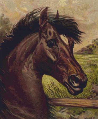 Vintage Horse