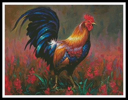 Colourful Rooster  (Mark Keathley)