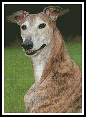 click here to view larger image of Brindle Greyhound (chart)