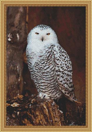 click here to view larger image of White Owl (chart)