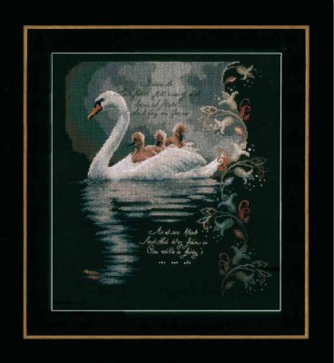Swan with Cygnets