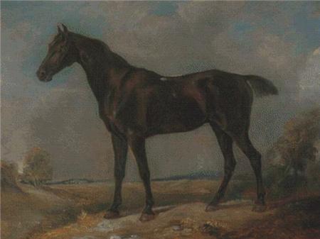 Golding Constables Black Riding Horse