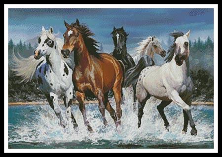 Wild Horses  (Lorenzo Tempesta)