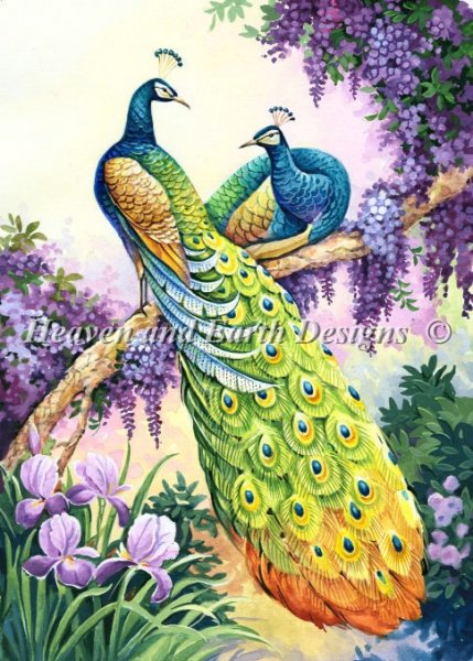 Peacocks Perch - Alexandra Gavrilova