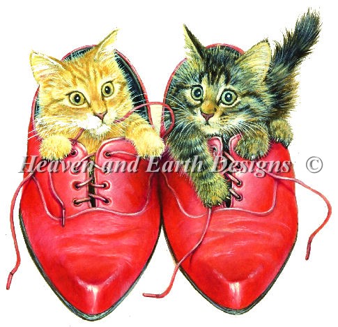 Kittens in Rons Red Shoes