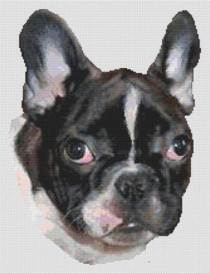 click here to view larger image of French Bulldog Puppy (chart)