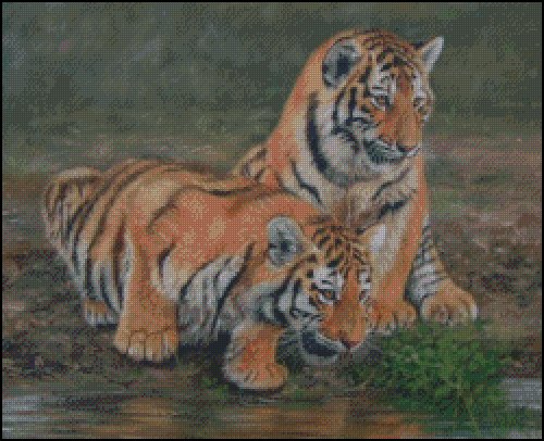 2 Tiger Cubs