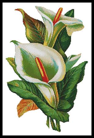 click here to view larger image of Calla Lilies 2 (chart)