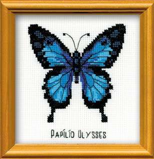 Ulysses Butterfly - Happy Bee