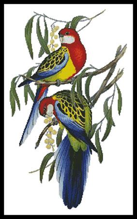 click here to view larger image of Rosehill Parakeets  (John Gould) (chart)