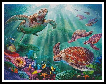 Turtle Voyage  (Steve Sundram)