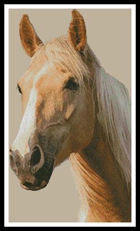 click here to view larger image of Palomino Horse (chart)
