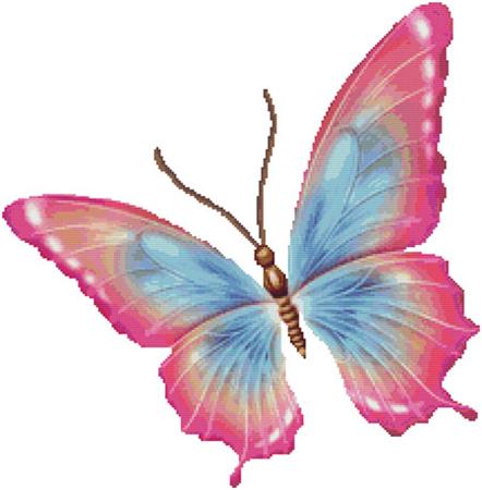 Flutter No 6 Butterfly