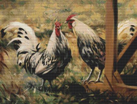 Farm Roosters