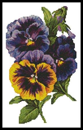 click here to view larger image of Pansies 4  (Vintagerio) (chart)