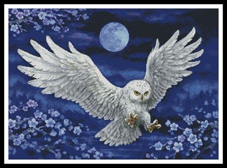 White Owl  (Kayomi Harai)