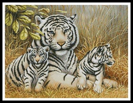 White Tiger and Cubs  (Howard Robinson)