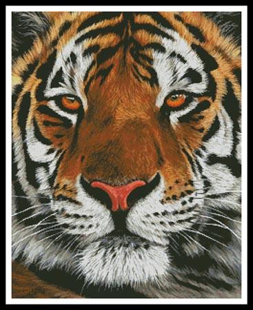 click here to view larger image of Bengal Tiger Portrait (chart)