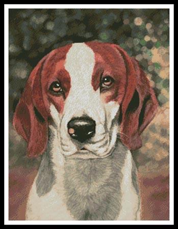 click here to view larger image of Beagle Dog Portrait  (Helen Chugg) (chart)