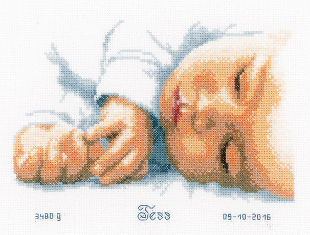click here to view larger image of Newborn (counted cross stitch kit)