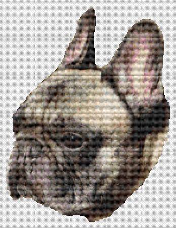 click here to view larger image of Brindle French Bulldog (chart)