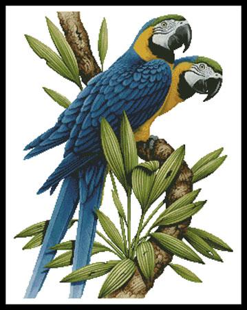 click here to view larger image of Majestic Macaws  (Howard Robinson) (chart)