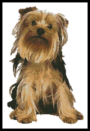 click here to view larger image of Yorkshire Terrier (chart)