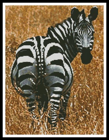 click here to view larger image of Zebra (chart)