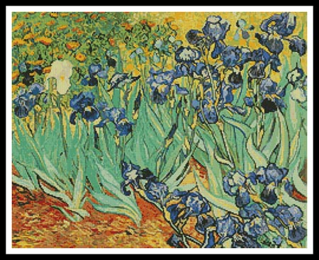 The Irises  (Vincent van Gogh)