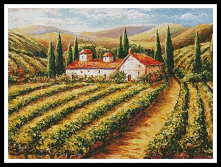 Toscana Vineyard  (Daniella Foletto)