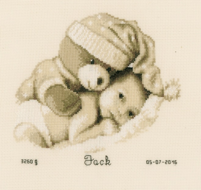 Bear Hugging Baby Birth Announcement