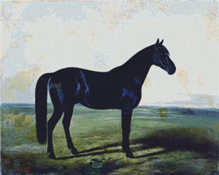 Black Horse, The