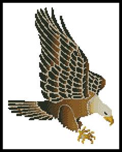 Eagle  (Joni Prittie)