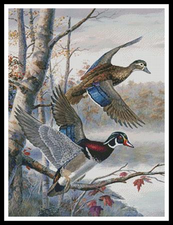 click here to view larger image of Lakeside Wood Ducks  (Randy McGovern) (chart)