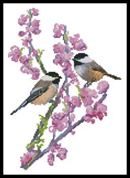 Chickadees and Redbud  (Claire Harkness)