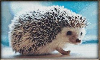 click here to view larger image of Hedgehog (chart)