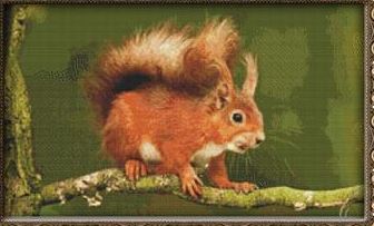 click here to view larger image of Bushy-Tailed Squirrel (chart)