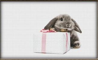 Cute Bunny With Gift