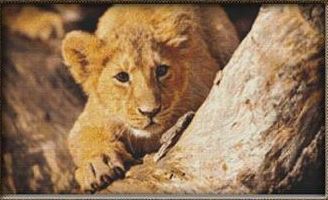 click here to view larger image of Playful Lion Cub (chart)