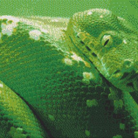 Coiled Green Snake