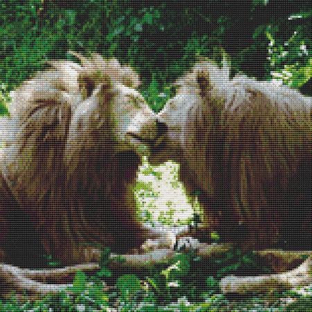 Nuzzling Lions