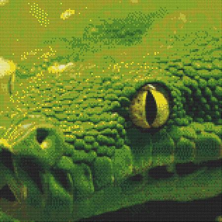 Green Python Closeup