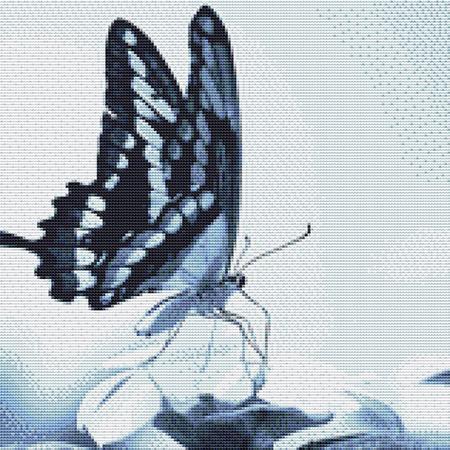 Dainty Butterfly