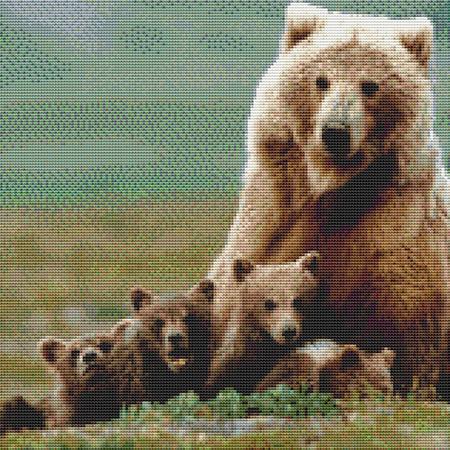 click here to view larger image of Bear Family (chart)